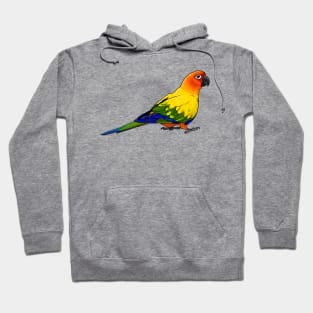 Sun Conure Hoodie